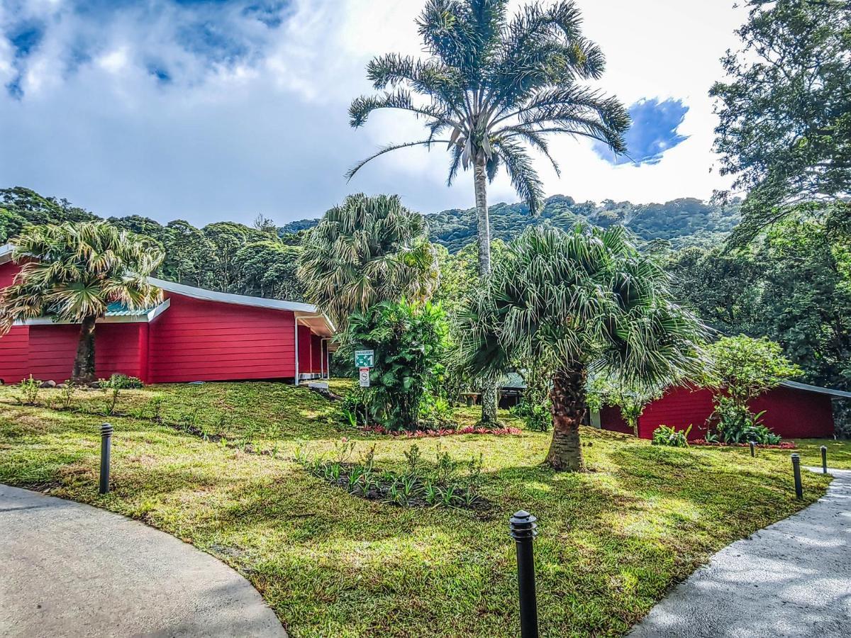 מונטה ורדה Cloud Forest Lodge By Boeena מראה חיצוני תמונה